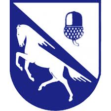 Toller Start für die D-Jugend (U12-1)